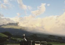 ¿Es posible volver a tener una luna de miel?