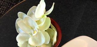 ¿Cómo preparar el cuerpo y la salud para viajar?