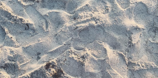 Acoplándome a los cambios