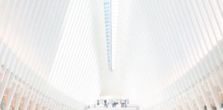 Viajar a Nueva York con niños: 25 lugares y 10 tips que no puedes perderte